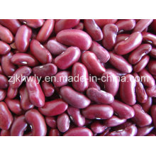 Dark Red Kidney Beans